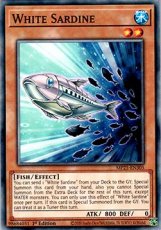 White Sardine - MP25-EN305 - Commom 1st Edition White Sardine - MP25-EN305 - Commom 1st Edition
