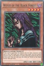 Witch of the Black Forest  - SDCH-EN016 - Common 1st Edition