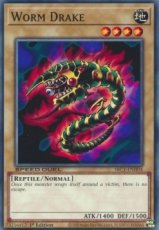 Worm Drake - SBC1-ENH04 - Common 1st Edition