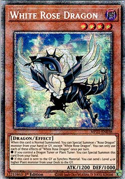 White Rose Dragon - MP25-EN038 - Starlight Rare 1st Edition